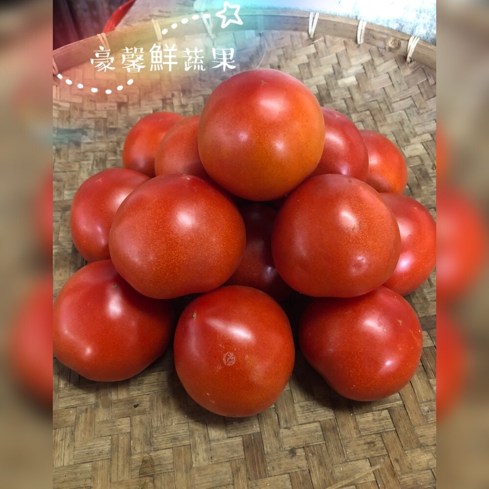 溫室牛番茄